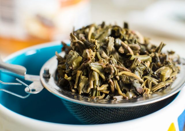 A Macao startup secures US$2.5 million to create sustainable materials from tea leaves