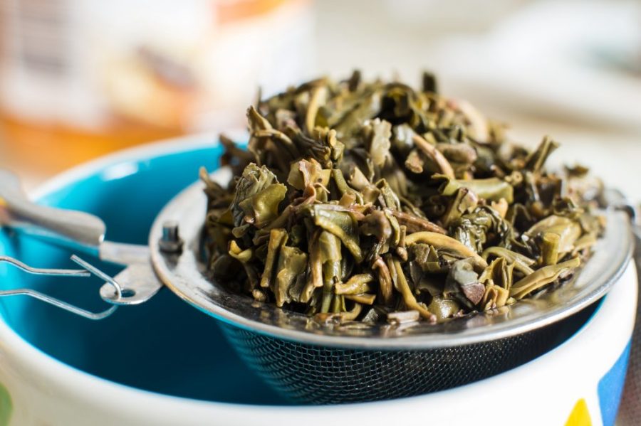 A Macao startup secures US$2.5 million to create sustainable materials from tea leaves