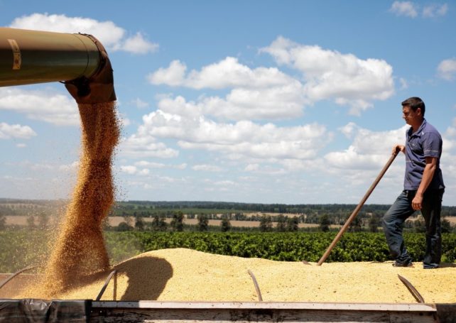 Brazilian soybean exports continue to break records