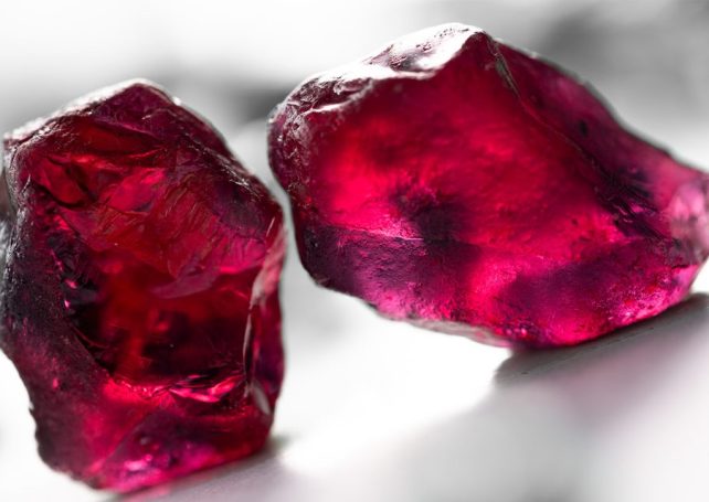 An auction of Mozambican rubies has raised US$1.47 million