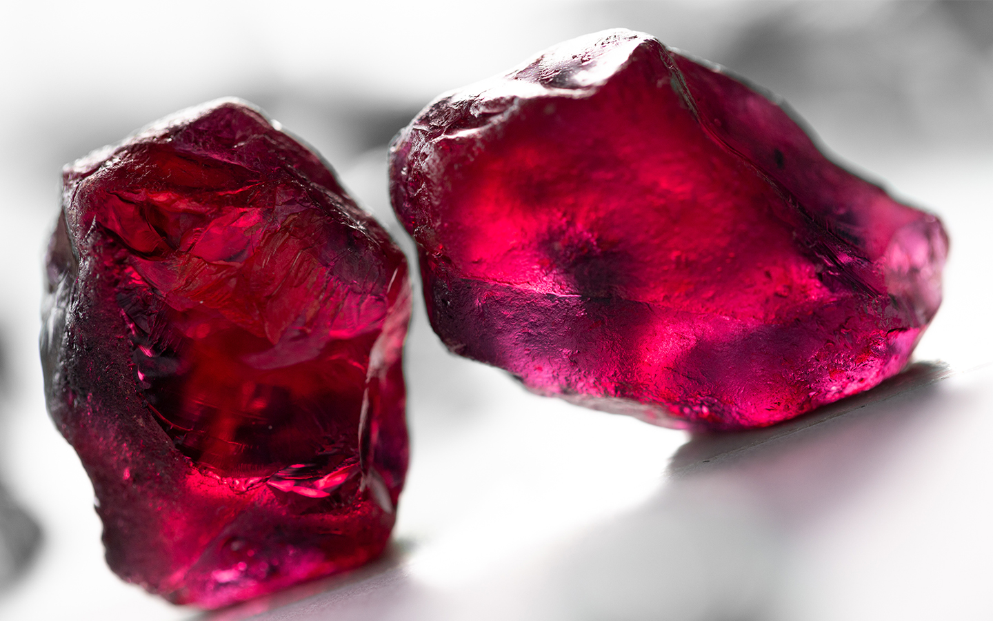 An auction of Mozambican rubies has raised US$1.47 million