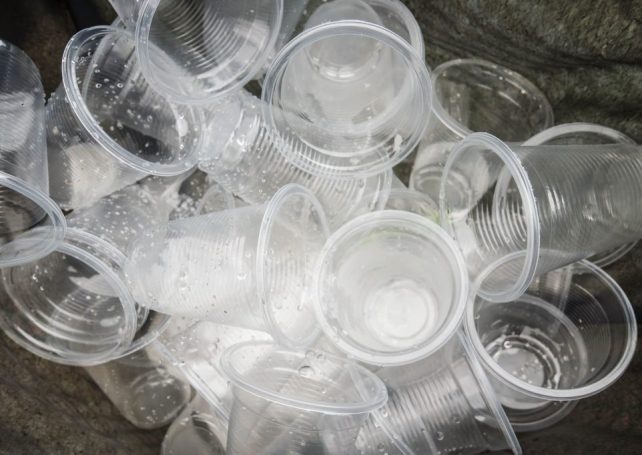 More single-use plastics will be banned from the start of 2024