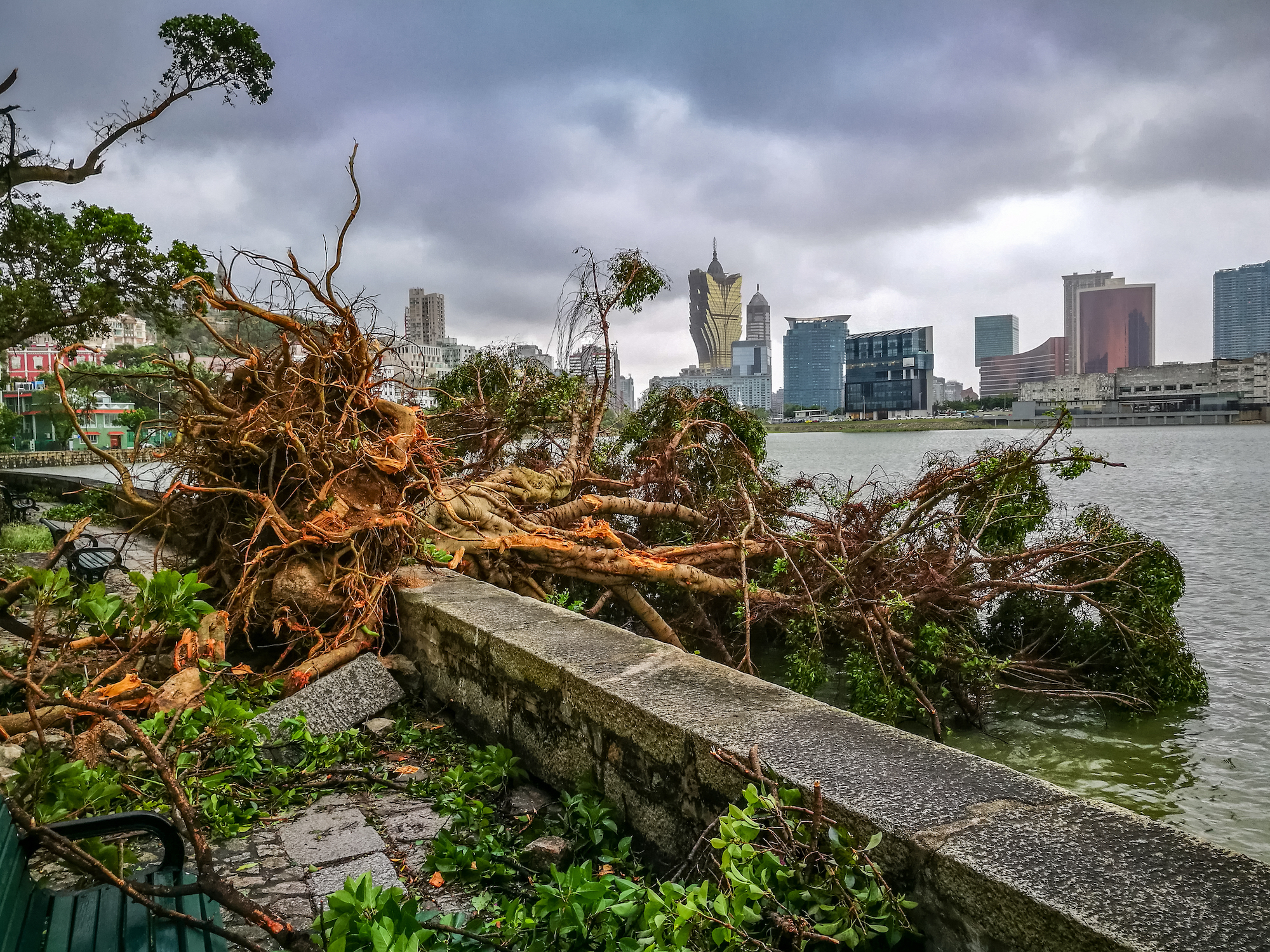 Global climate change is behind the rise in severe typhoons