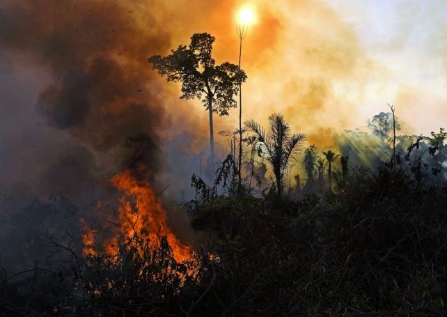 Brazil redoubles efforts to combat fires in the Amazon