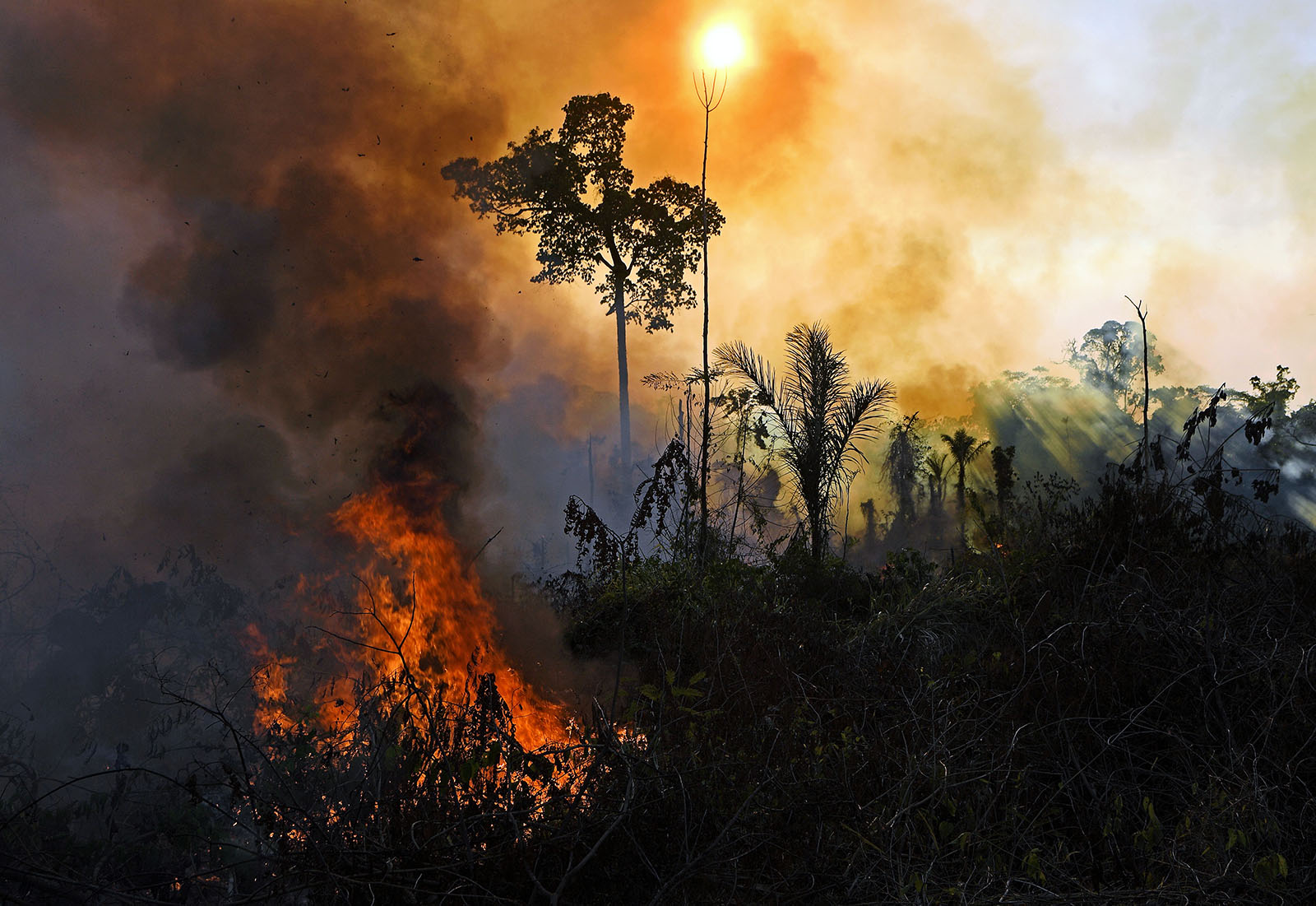 Brazil redoubles efforts to combat fires in the Amazon