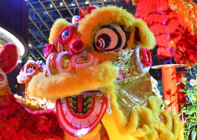 Macao wins big in an Asia-wide lion and dragon dance competition
