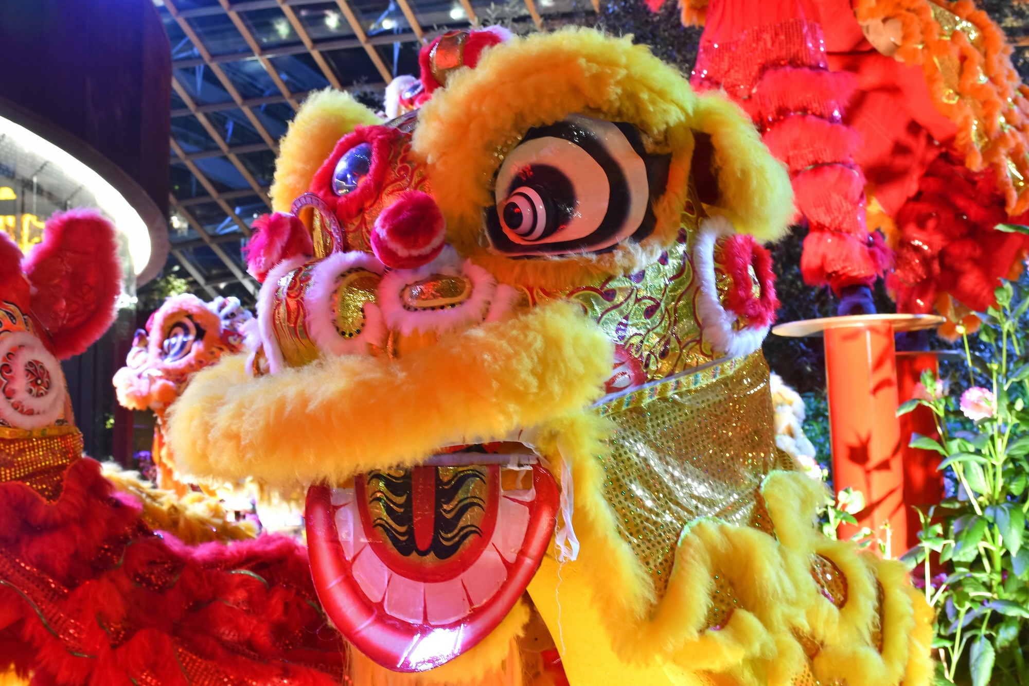 Macao wins big in an Asia-wide lion and dragon dance competition