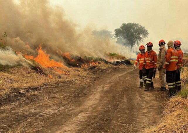 Wildfires rage across Brazil’s Pantanal wetlands