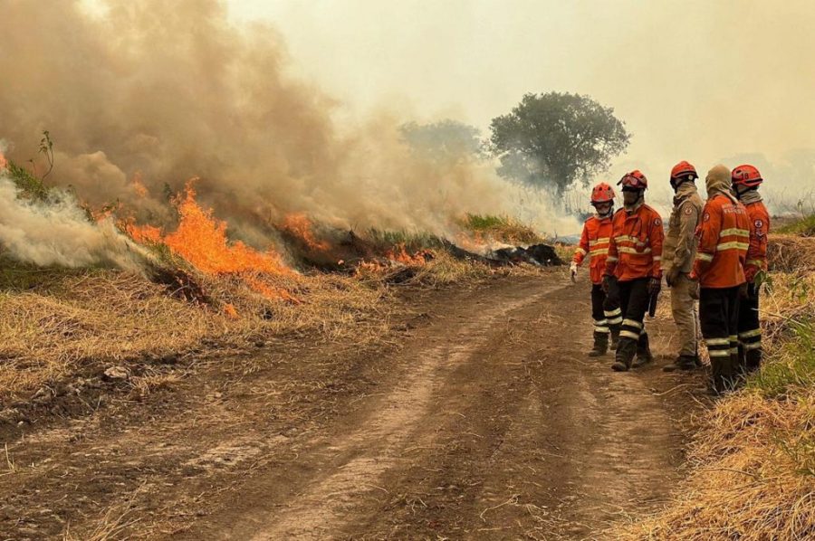 Wildfires rage across Brazil’s Pantanal wetlands