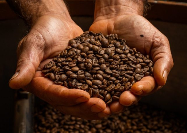 Brazilian coffee exports see significant growth in October