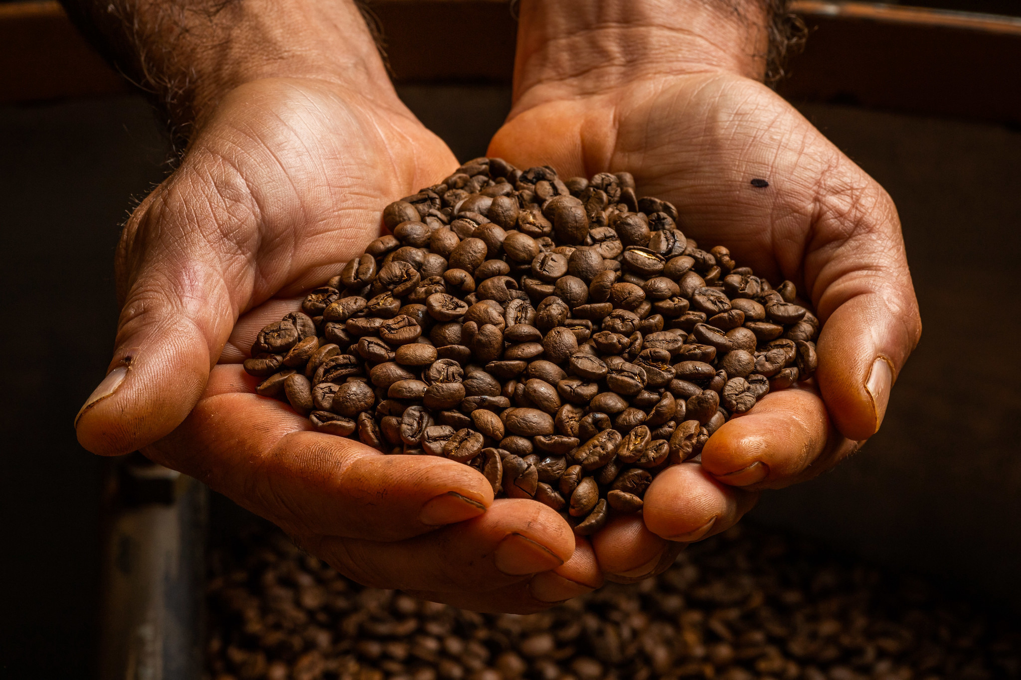 Brazilian coffee exports