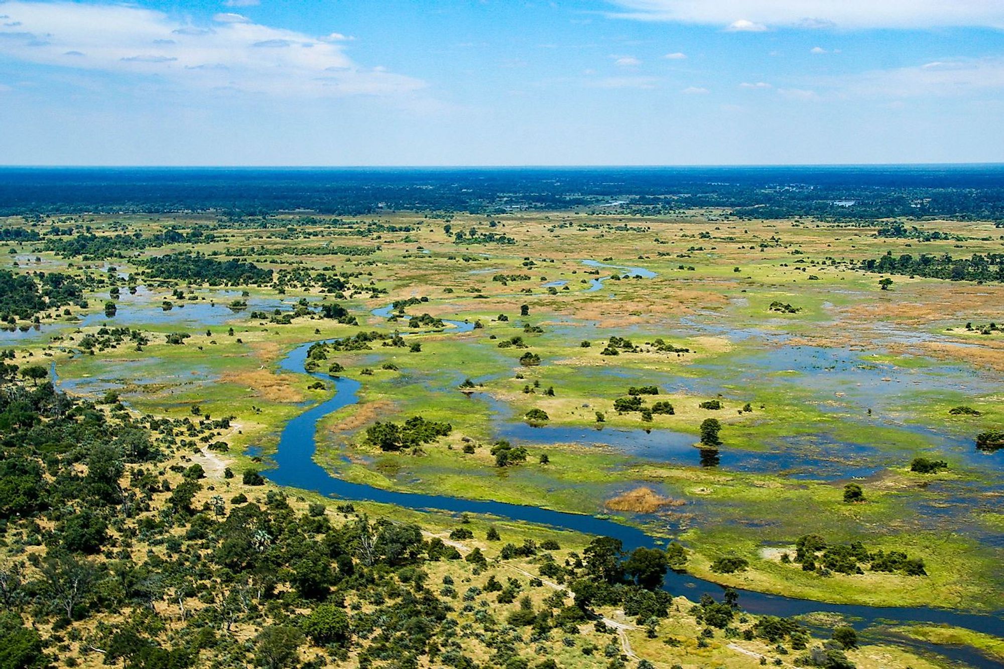 Angola Okavango