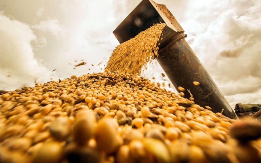 Brazilian soybean exports to China surge in October