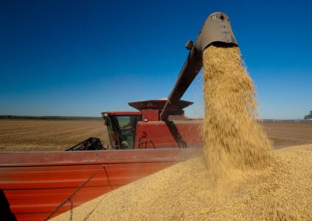 Over-reliance on China holds risks for Brazil’s soybean exporters, analyst warns
