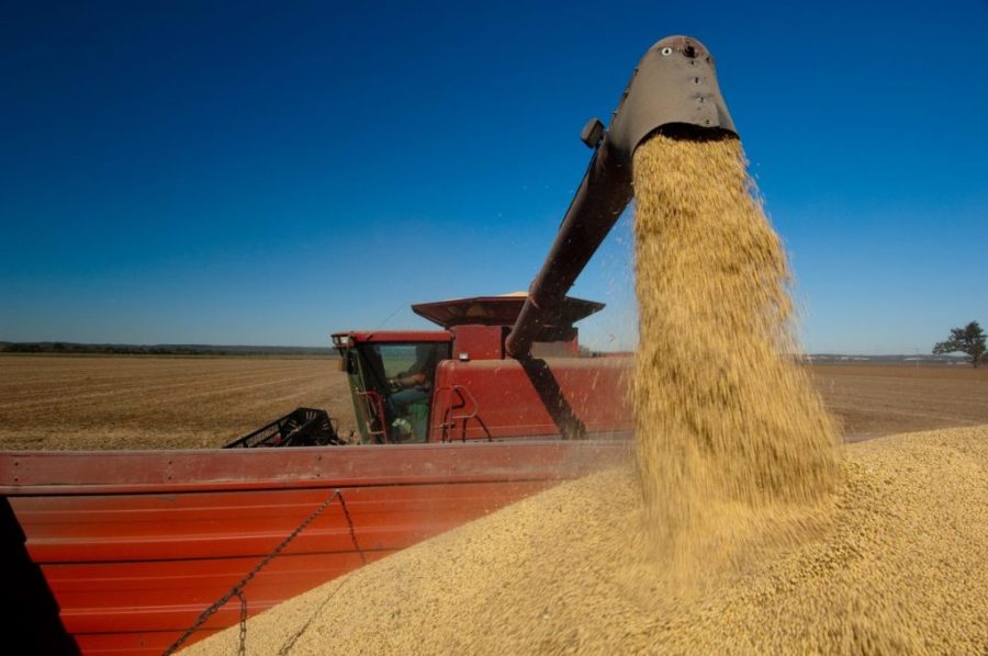 Over-reliance on China holds risks for Brazil’s soybean exporters, analyst warns