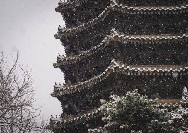 A rare snowfall hits Guangdong as temperatures plummet