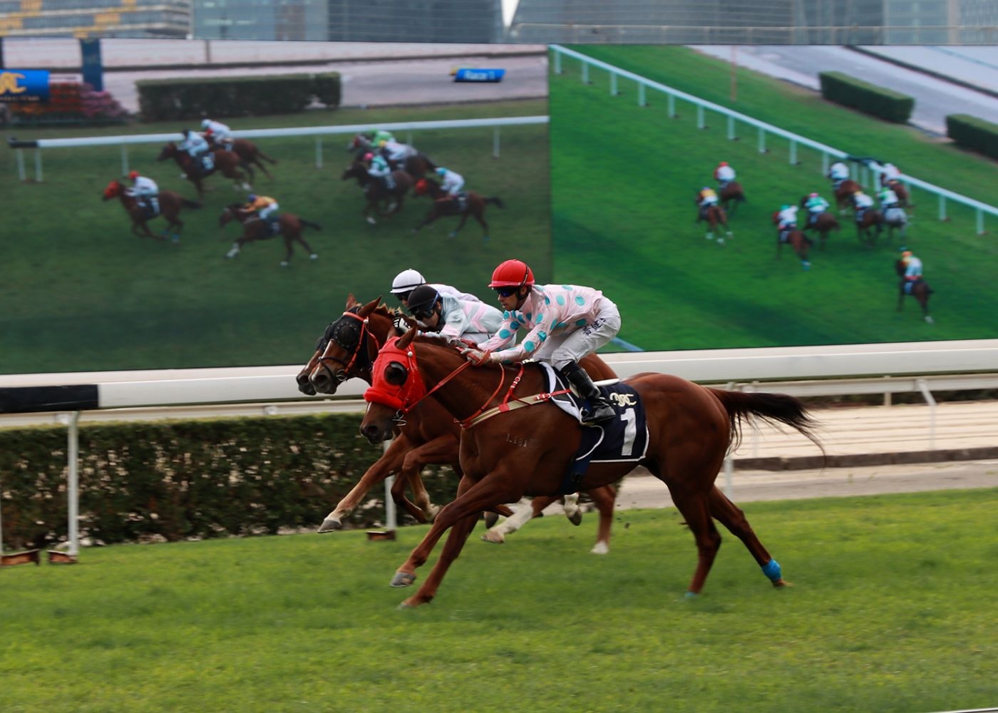 Five things you may not know about the history of the Macau Jockey Club