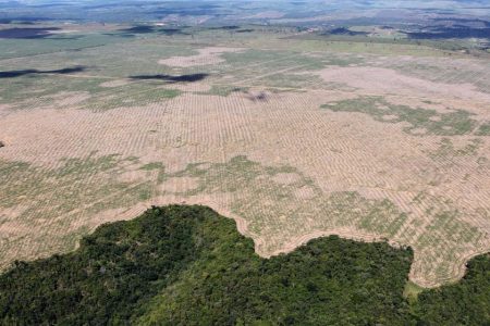 Deforestation in the Brazilian Amazon continues to decrease