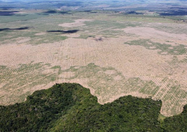 Deforestation in the Brazilian Amazon continues to decrease