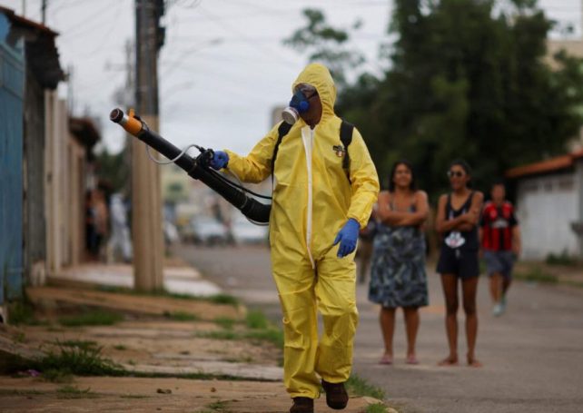 Dengue cases explode in Brazil, Carnival continues