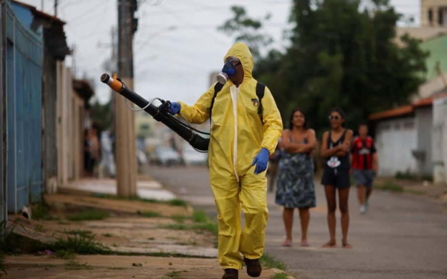 Dengue cases explode in Brazil, Carnival continues