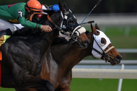 The Macau Jockey Club owes the public an apology, say racehorse owners