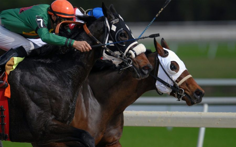 The Macau Jockey Club owes the public an apology, say racehorse owners