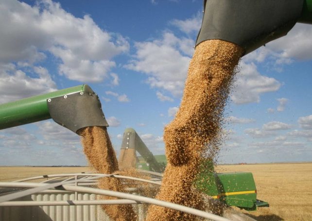 Brazil becomes the world’s biggest exporter of several food commodities