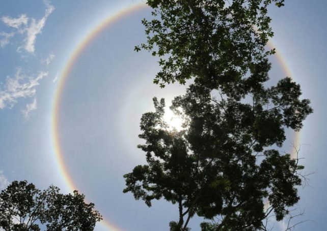 Did you see yesterday’s solar halo over Macao?