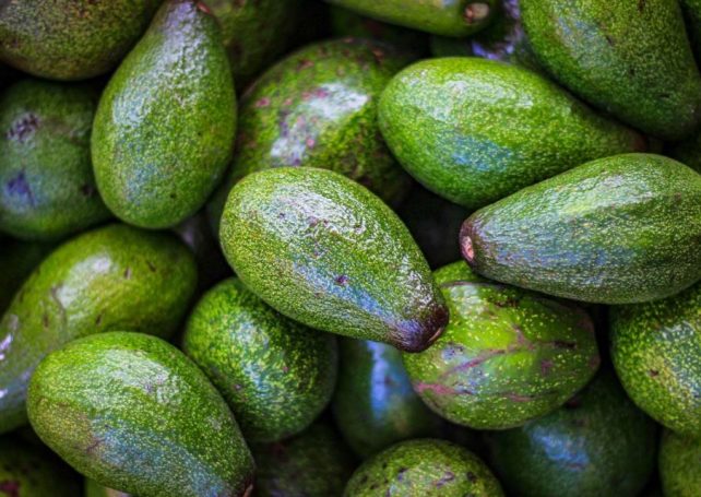 Climate change will shake up the global avocado market, report claims 