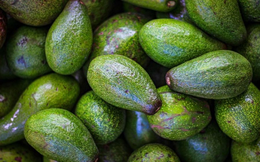 Climate change will shake up the global avocado market, report claims 