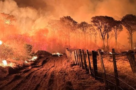 An intense drought has led to hundreds of wildfires in Brazil’s Pantanal region