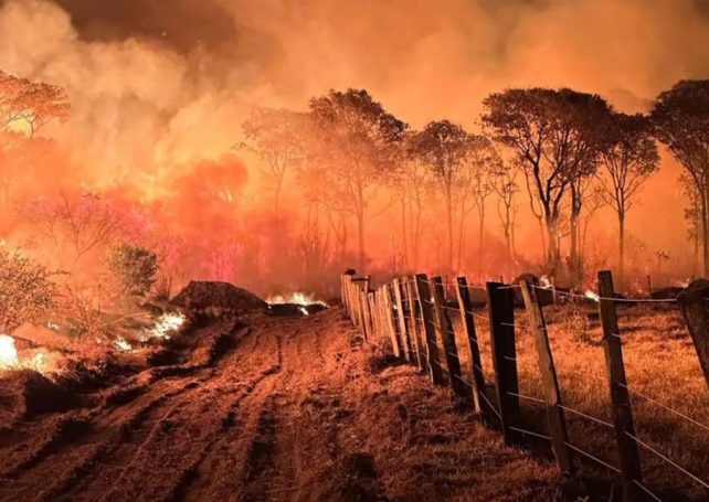 An intense drought has led to hundreds of wildfires in Brazil’s Pantanal region