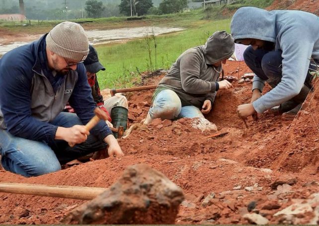 Torrential rains reveal a near-complete dinosaur skeleton in Brazil