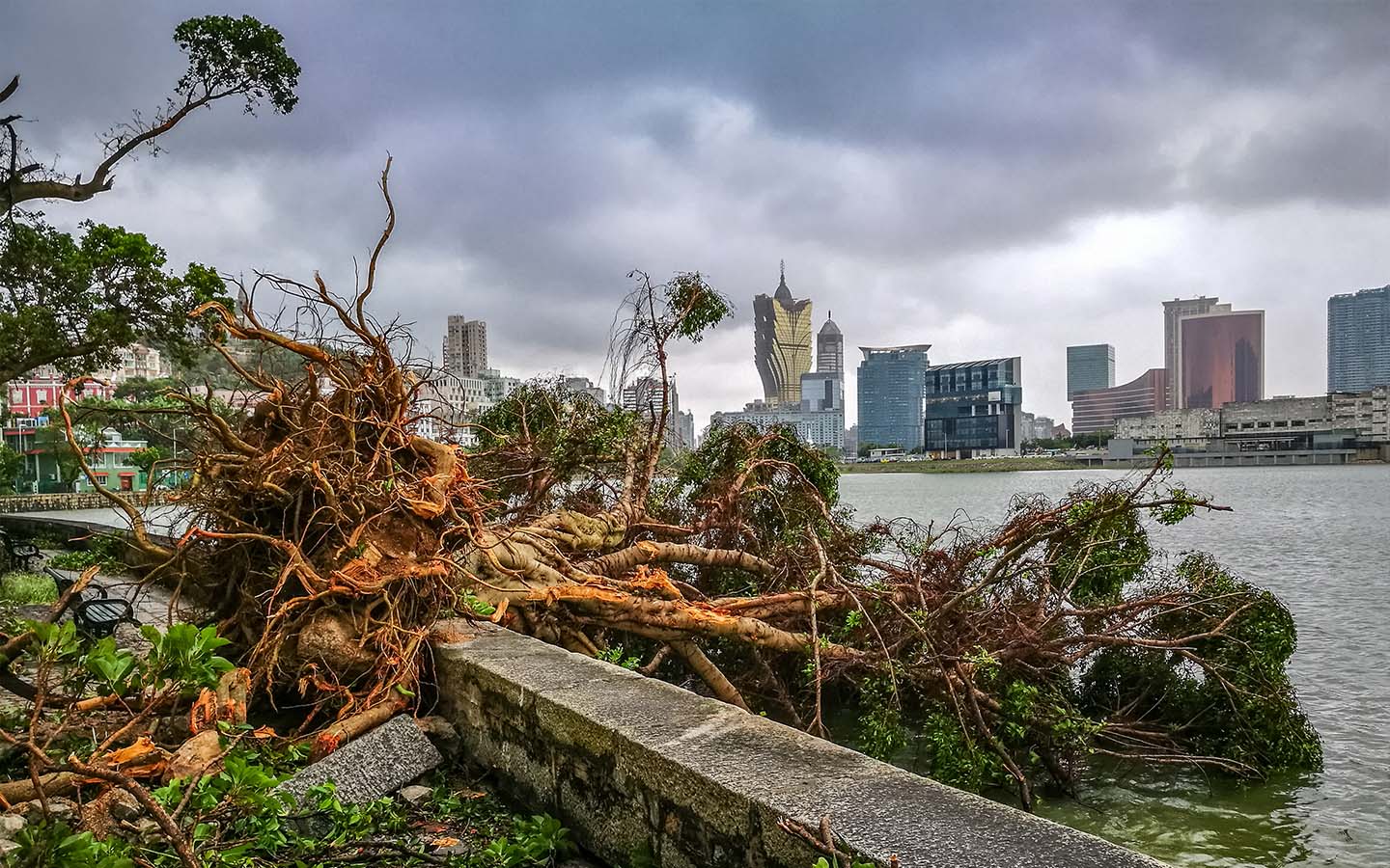 Extreme weather events in Macao are on the rise, says top weather official 