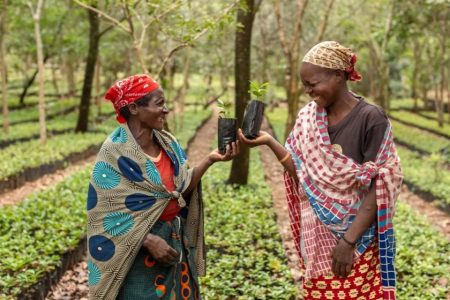 Gorongosa population in Mozambique supported by Ireland and Canada is producing coffee and honey locally to export to neighbour countries