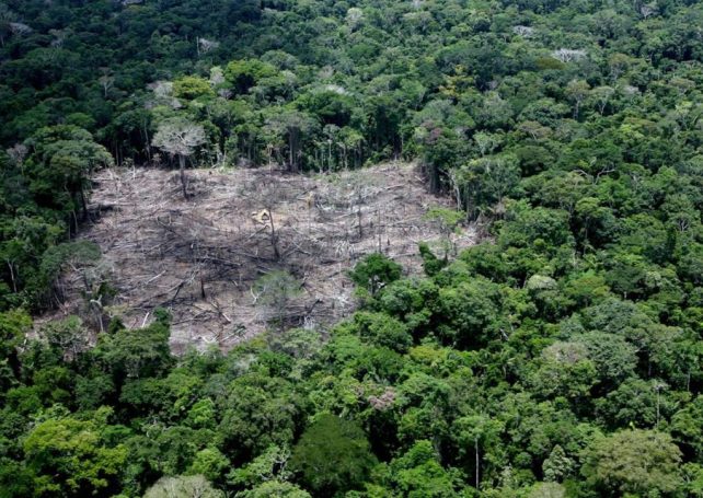 The Brazilian Amazon shrinks again