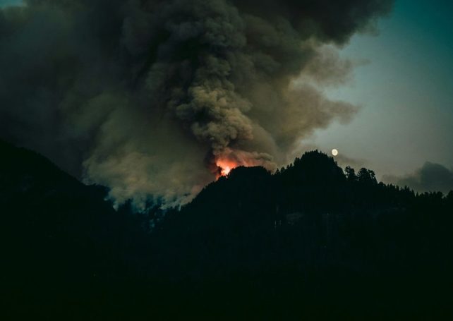 Officials believe wildfires in Brazil’s São Paulo state are being started deliberately