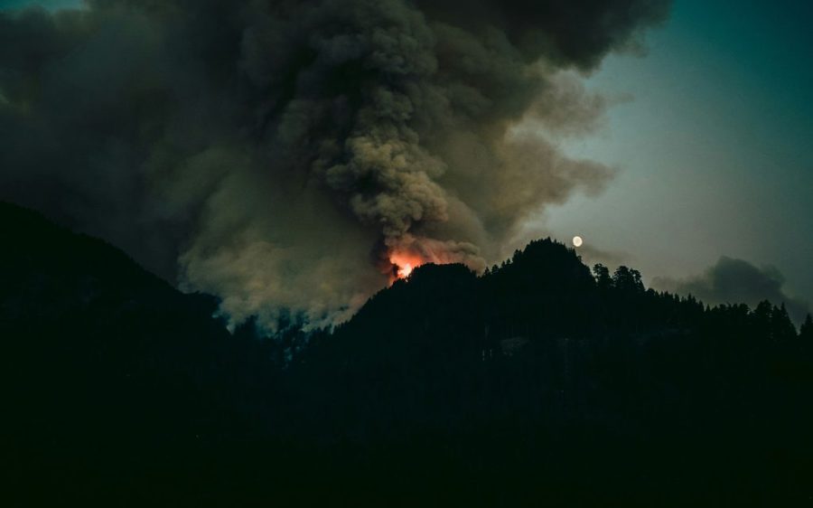 Officials believe wildfires in Brazil’s São Paulo state are being started deliberately