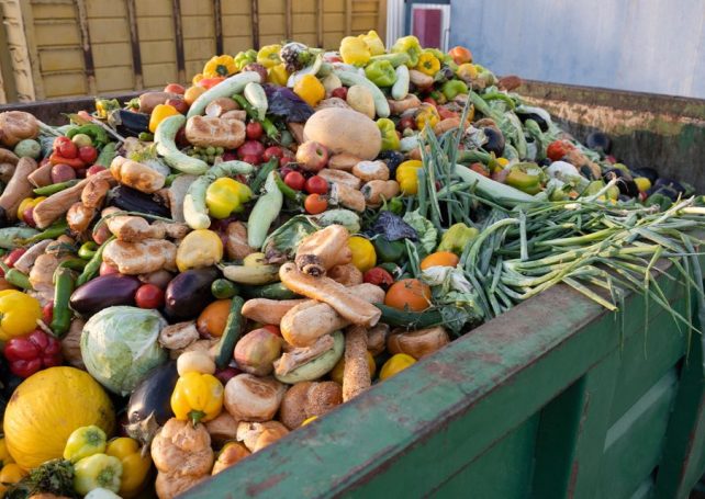 New organic waste centre to handle 150 tonnes of food waste daily