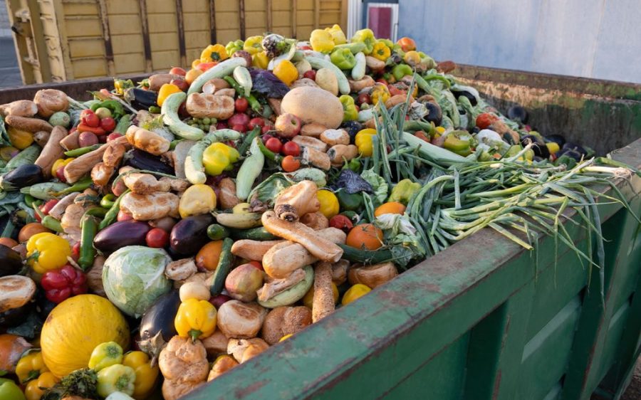 New organic waste centre to handle 150 tonnes of food waste daily