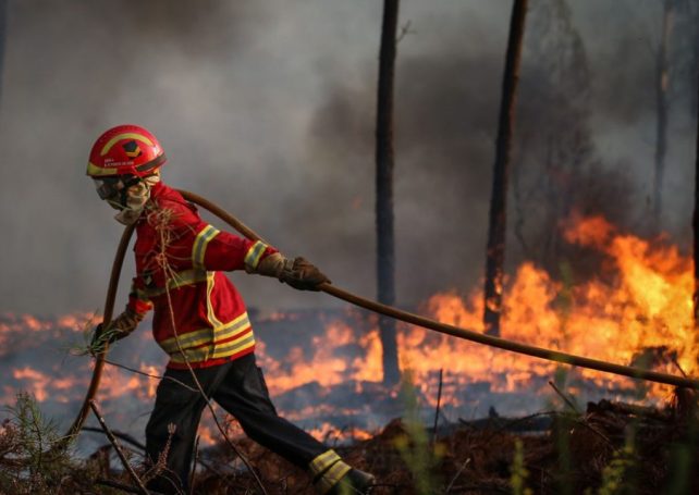 Madeira wildfire threatens Laurisilva Forest, a UNESCO heritage site