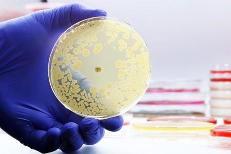 World faces growing threat from antibiotic-resistant infections, study finds