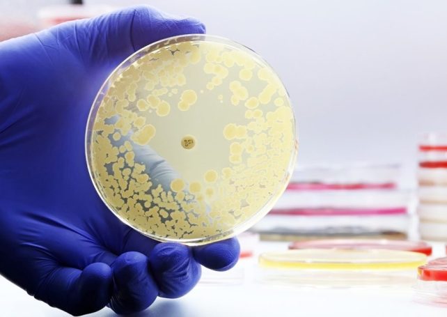 World faces growing threat from antibiotic-resistant infections, study finds