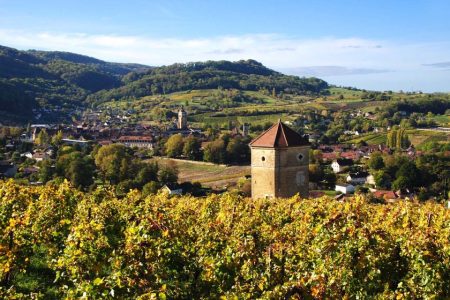 Climate change poses ‘existential threat’ to one of France’s most distinctive wine regions