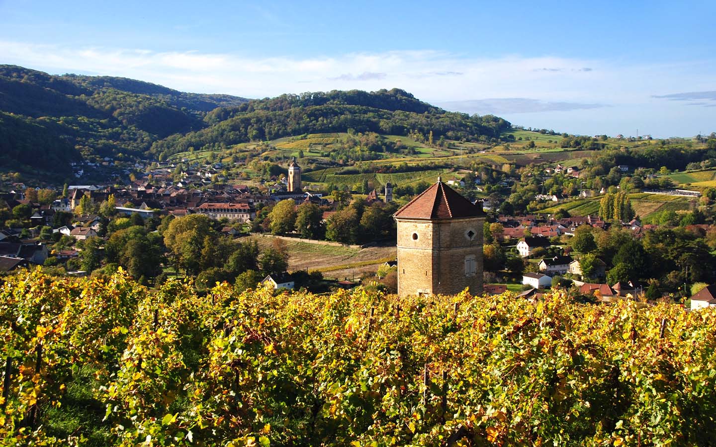 Climate change poses ‘existential threat’ to one of France’s most distinctive wine regions