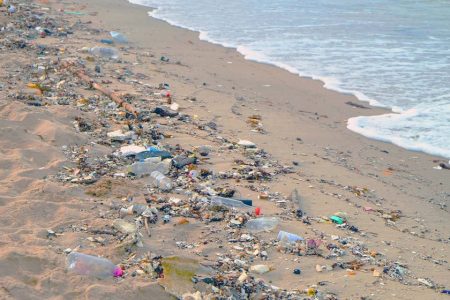 Macao government says beach litter is ‘under control,’ despite offering no long-term solutions