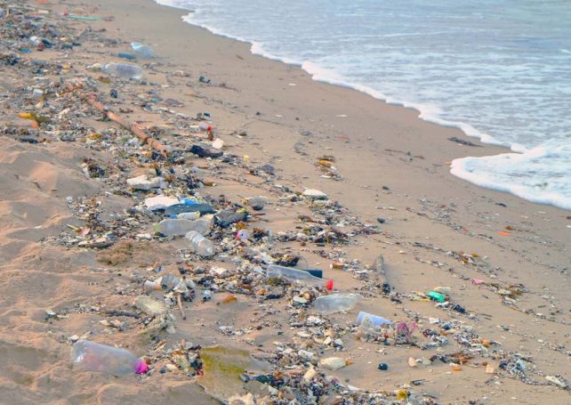 Government says beach litter is ‘under control,’ despite offering no long-term solutions 