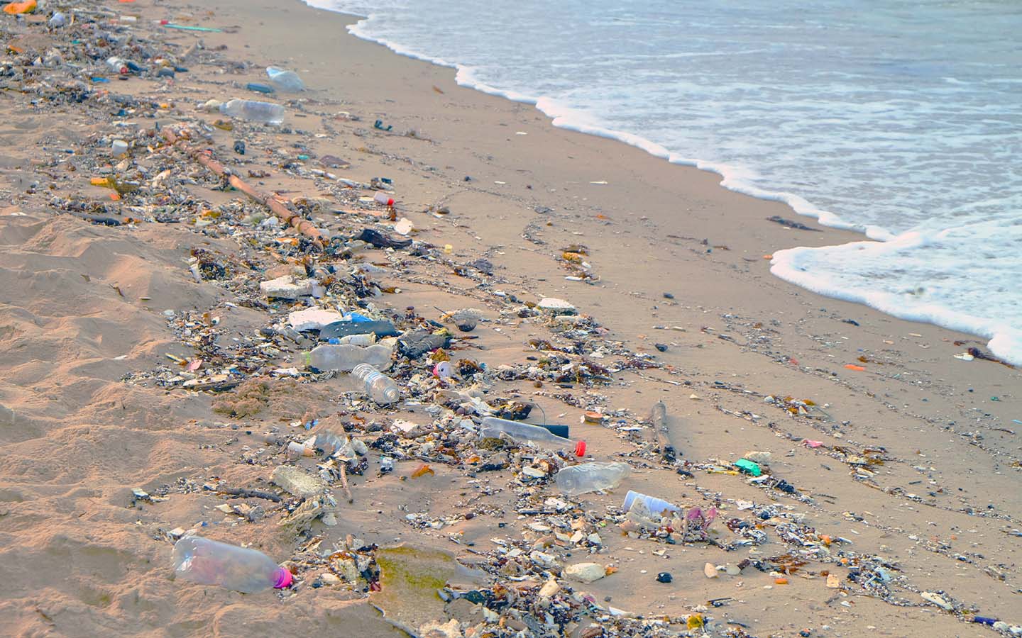 Government says beach litter is ‘under control,’ despite offering no long-term solutions 