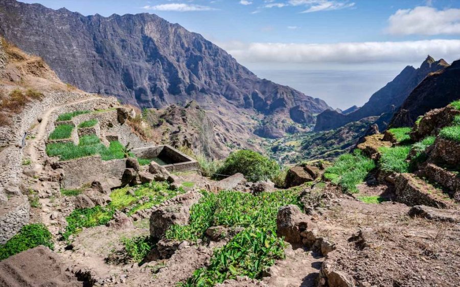 A new desalination plant will be key to agriculture in Cabo Verde